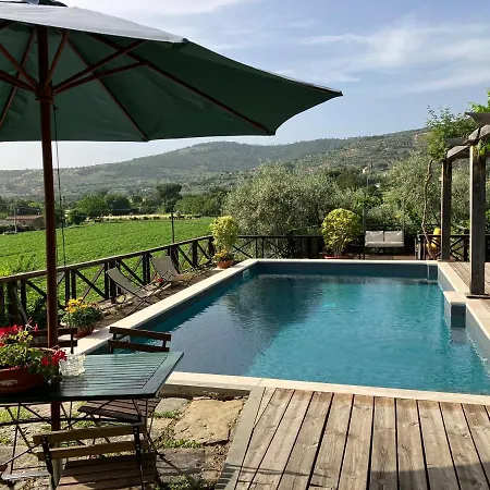 Villa La Casa Del Sole Del Sodo Cortona